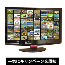 一気にキャンペーンを周知